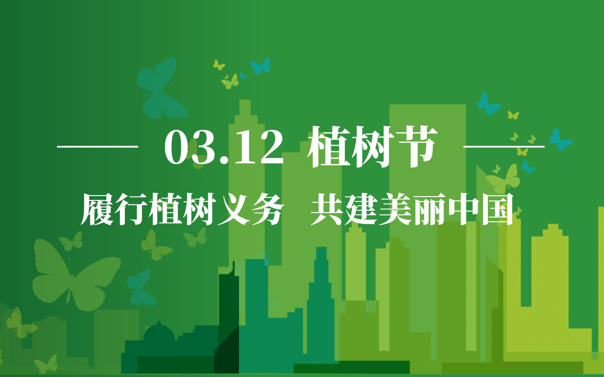 香港六宝大典曲资料
